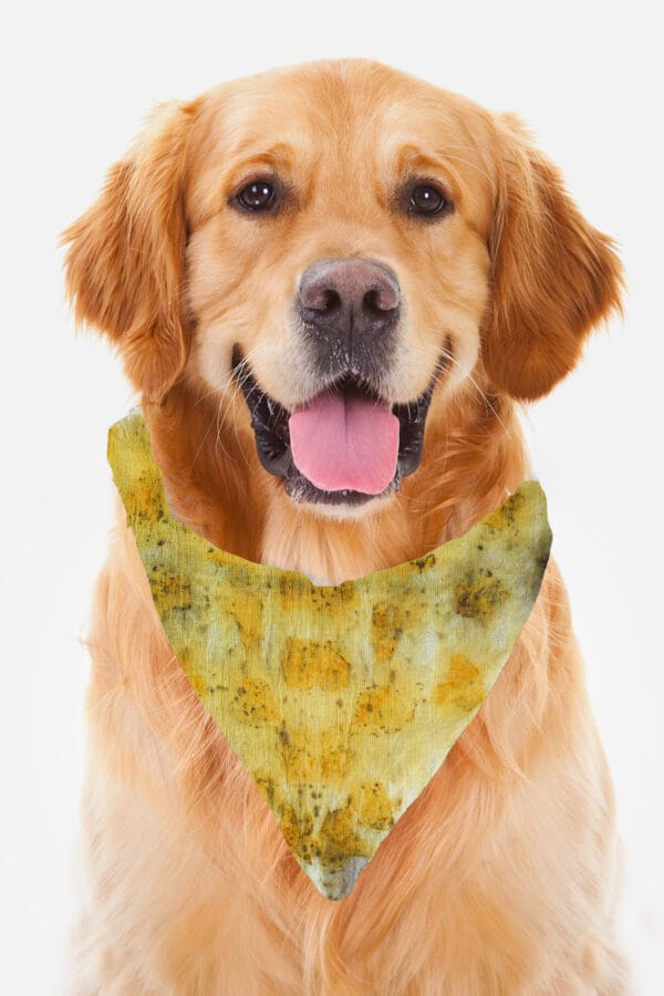 Eco-Pawsome! Natural Pet Scarves: Biodegradable, Gentle & Earth-Friendly Style