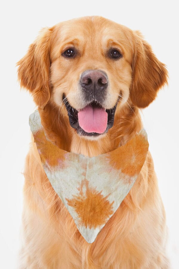 Eco-Pawsome! Natural Pet Scarves: Biodegradable, Gentle & Earth-Friendly Style