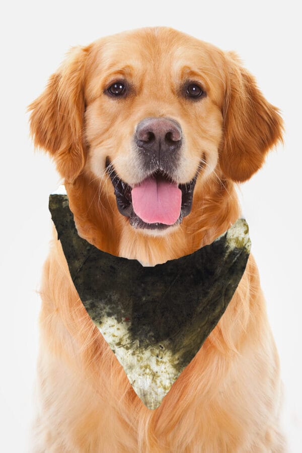 Eco-Pawsome! Natural Pet Scarves: Biodegradable, Gentle & Earth-Friendly Style