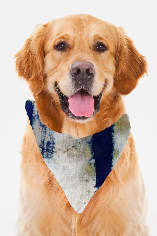 Eco-Pawsome! Natural Pet Scarves: Biodegradable, Gentle & Earth-Friendly Style