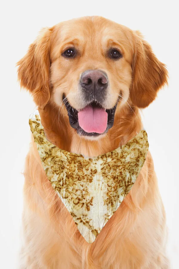 Eco-Pawsome! Natural Pet Scarves: Biodegradable, Gentle & Earth-Friendly Style