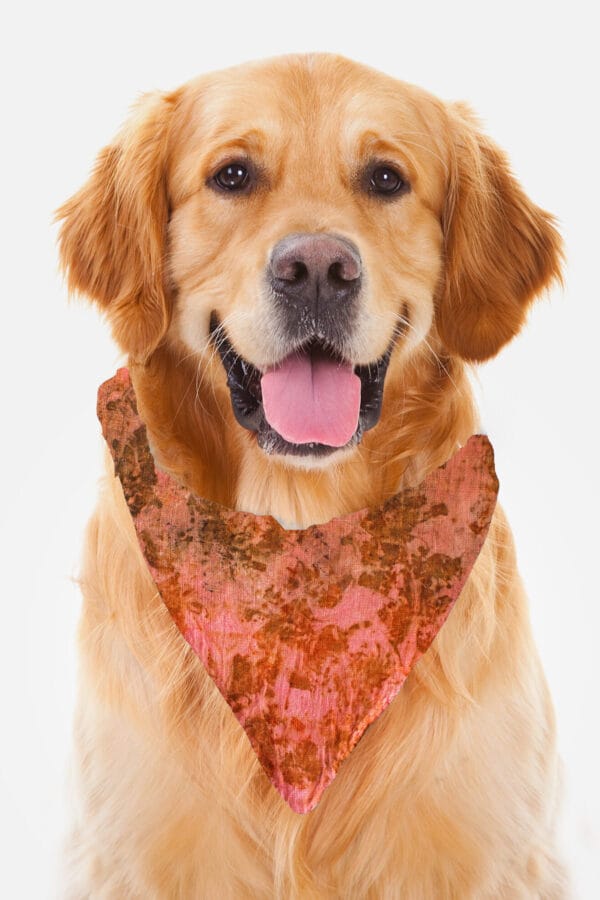 Eco-Pawsome! Natural Pet Scarves: Biodegradable, Gentle & Earth-Friendly Style