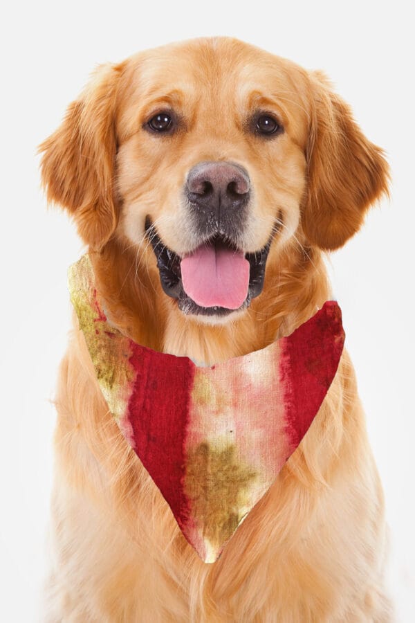 Eco-Pawsome! Natural Pet Scarves: Biodegradable, Gentle & Earth-Friendly Style