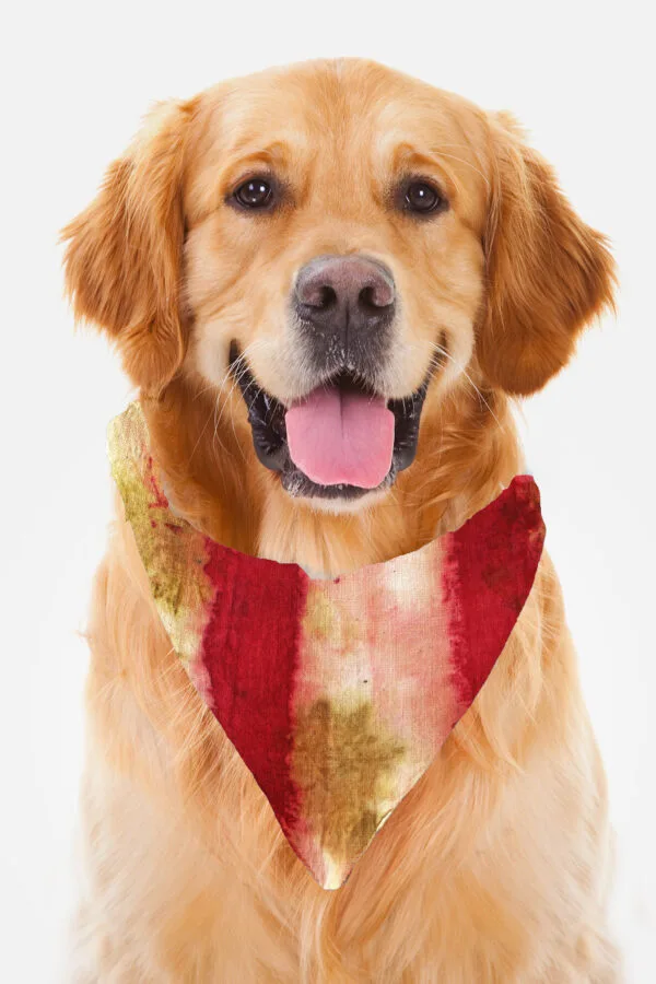 Eco-Pawsome! Natural Pet Scarves: Biodegradable, Gentle & Earth-Friendly Style