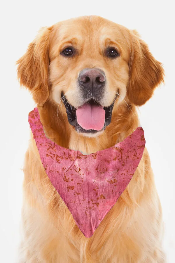 Eco-Pawsome! Natural Pet Scarves: Biodegradable, Gentle & Earth-Friendly Style