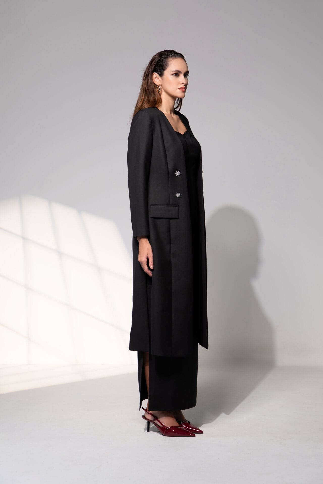 The Celestia Ensemble - Image 2