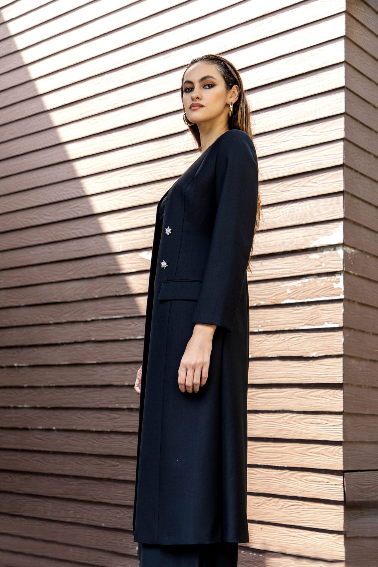 The Celestia Ensemble - Image 6