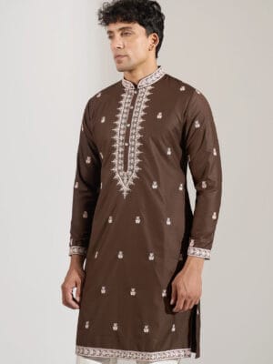 Brown Embroidered Kurta Set