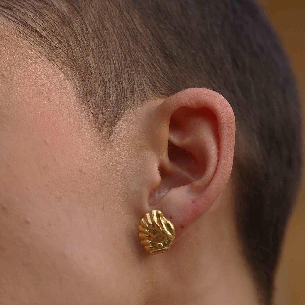 Sea Shell Studs Earrings for Women